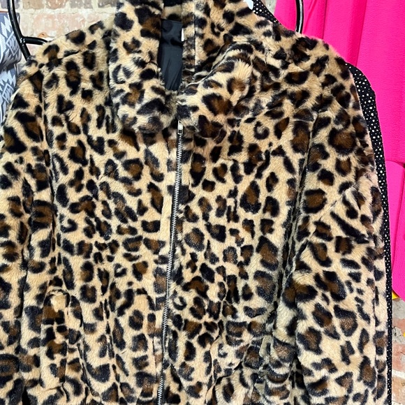 Jacket - Picture 1 of 1